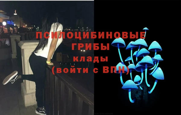 трава Бронницы