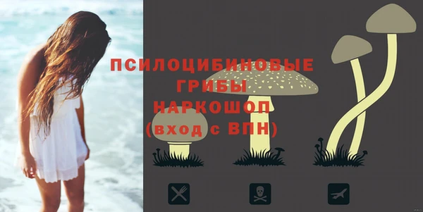 гидра Бугульма