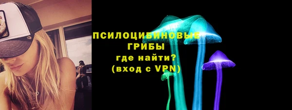гидра Бугульма