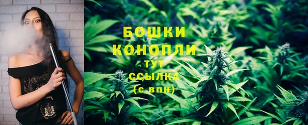 трава Бронницы