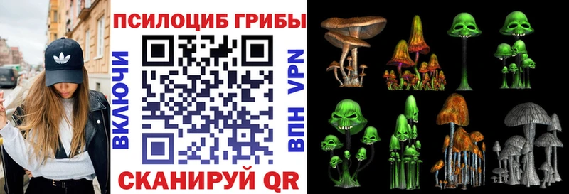 omg   Трёхгорный  Галлюциногенные грибы прущие грибы 